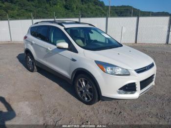  Salvage Ford Escape