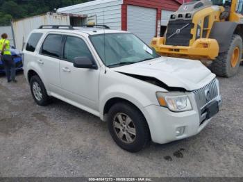  Salvage Mercury Mariner