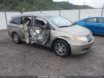  Salvage Honda Odyssey