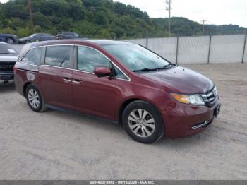  Salvage Honda Odyssey