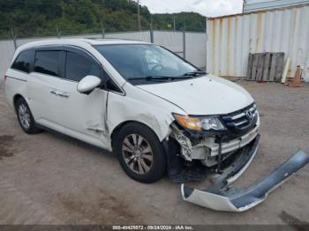  Salvage Honda Odyssey