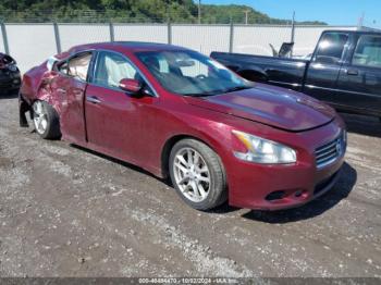  Salvage Nissan Maxima