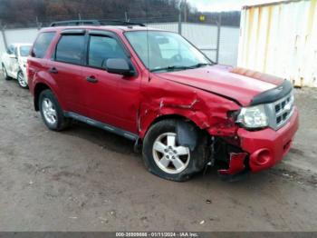  Salvage Ford Escape