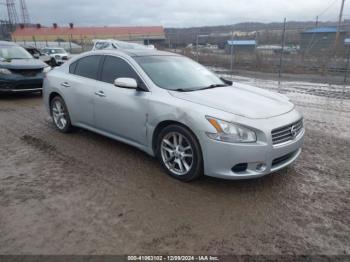  Salvage Nissan Maxima