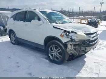  Salvage Honda CR-V