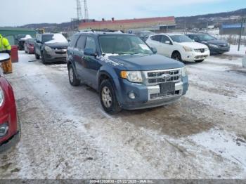  Salvage Ford Escape