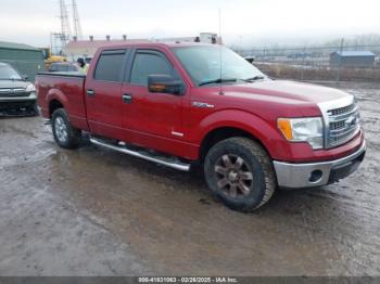  Salvage Ford F-150