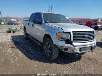  Salvage Ford F-150