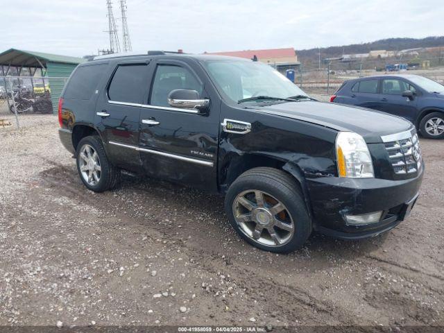  Salvage Cadillac Escalade