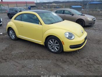  Salvage Volkswagen Beetle