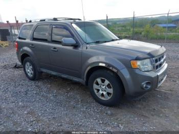  Salvage Ford Escape