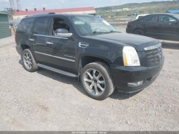  Salvage Cadillac Escalade