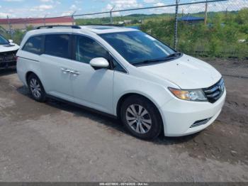  Salvage Honda Odyssey