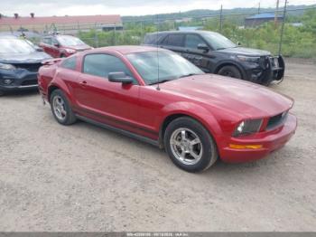  Salvage Ford Mustang