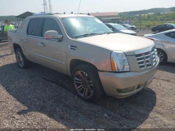  Salvage Cadillac Escalade