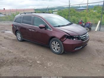  Salvage Honda Odyssey