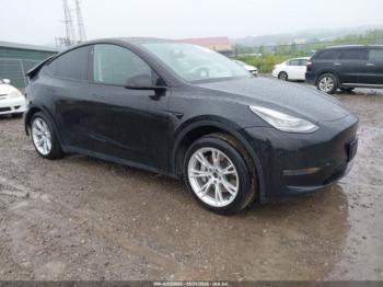  Salvage Tesla Model Y