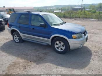  Salvage Ford Escape