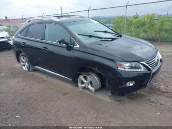  Salvage Lexus RX
