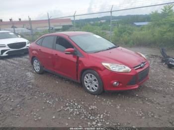  Salvage Ford Focus