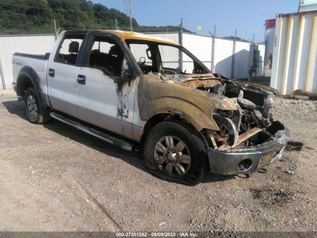  Salvage Ford F-150