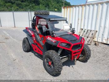  Salvage Polaris RZR
