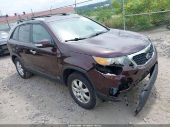  Salvage Kia Sorento