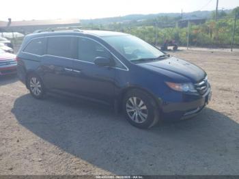  Salvage Honda Odyssey