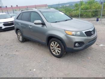  Salvage Kia Sorento