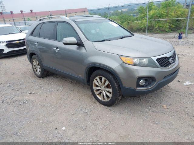  Salvage Kia Sorento