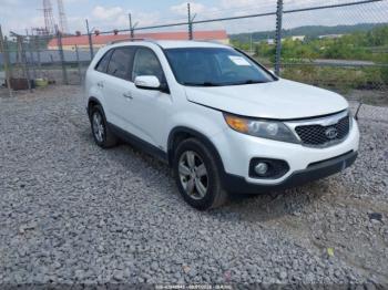  Salvage Kia Sorento