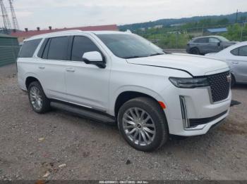  Salvage Cadillac Escalade