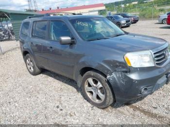  Salvage Honda Pilot