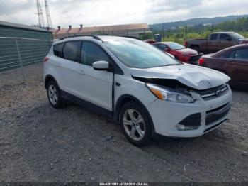  Salvage Ford Escape