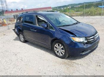  Salvage Honda Odyssey