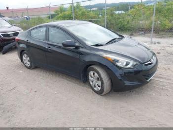  Salvage Hyundai ELANTRA