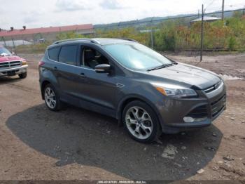  Salvage Ford Escape