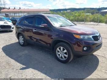  Salvage Kia Sorento