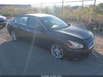  Salvage Nissan Maxima