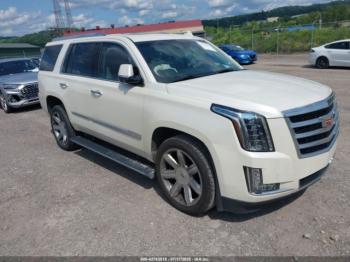  Salvage Cadillac Escalade