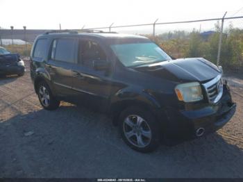  Salvage Honda Pilot