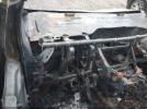 Ford Escape Sel Image 3