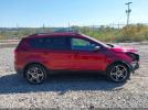 Ford Escape Sel Image 13
