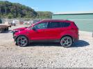 Ford Escape Sel Image 10