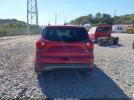 Ford Escape Sel Image 16