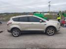 Ford Escape Se Image 13
