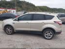 Ford Escape Se Image 10