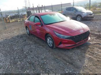  Salvage Hyundai ELANTRA
