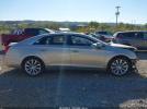 Cadillac XTS Luxury Collection Image 10