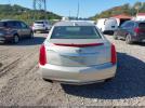 Cadillac XTS Luxury Collection Image 16